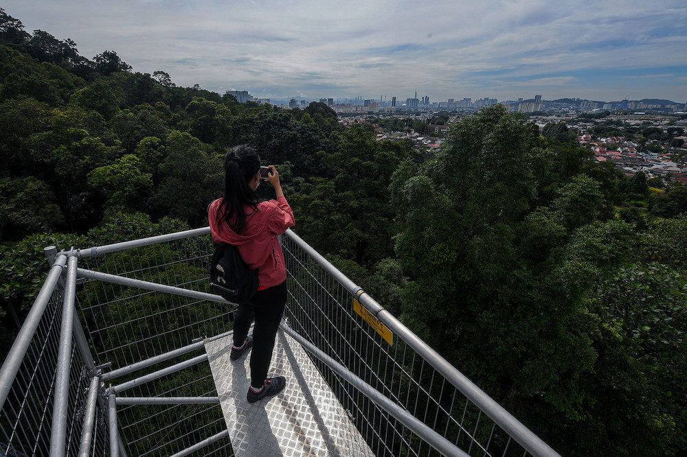 FOREST SKYWALK FRIM DIBUKA SEMULA UNTUK PENGUNJUNG